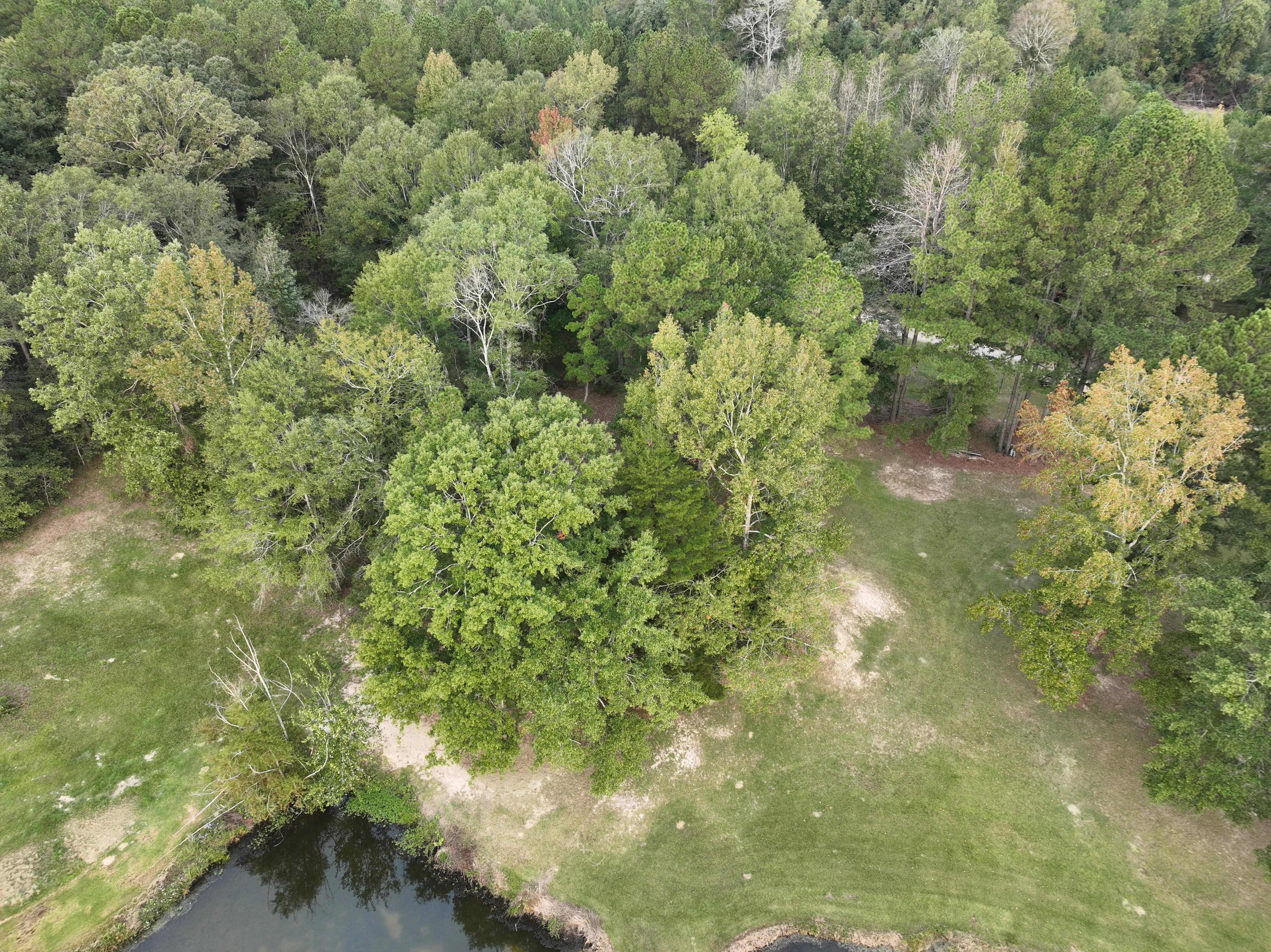 Aerial view of cleared forest land with pond and remaining mature trees